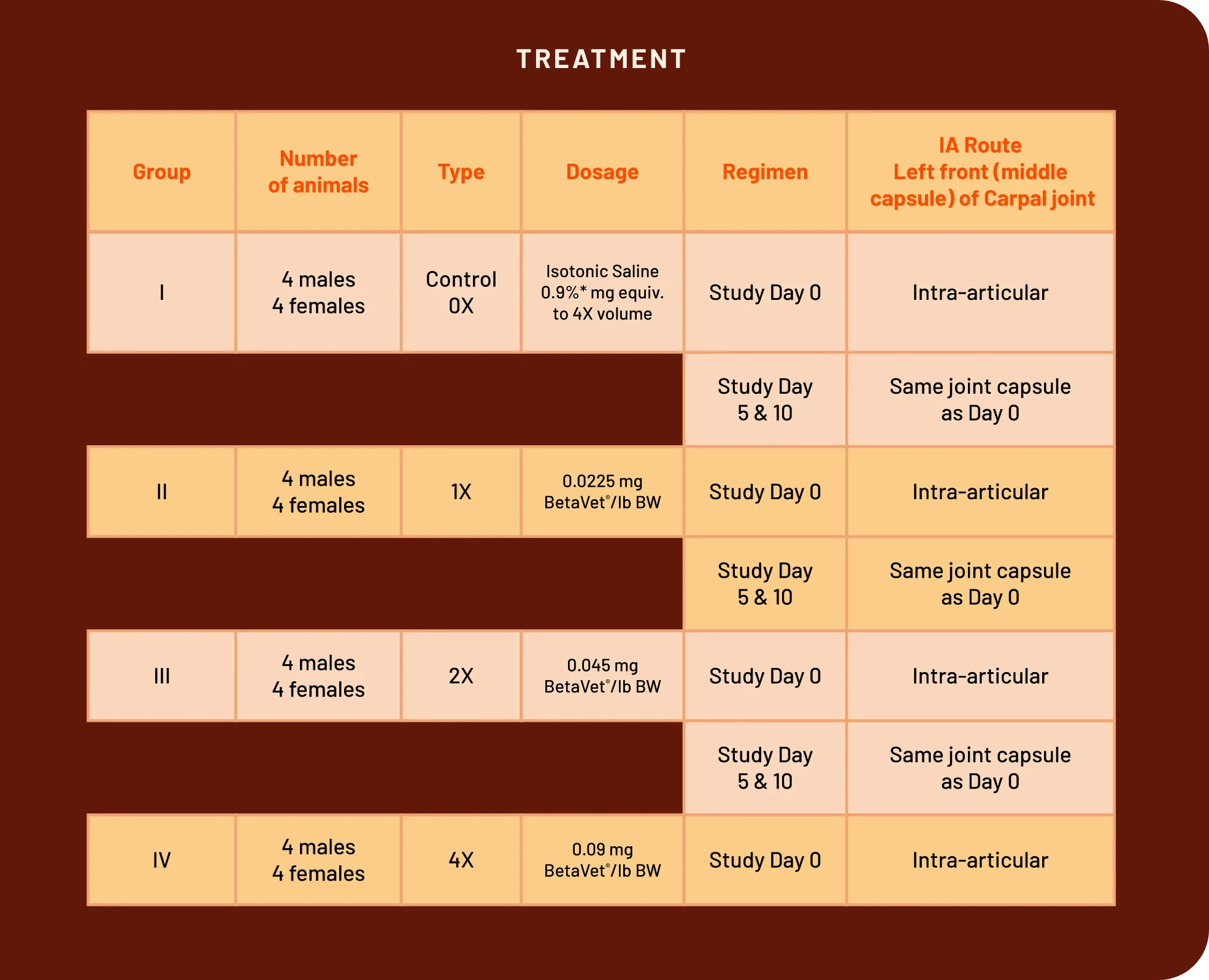 Table of the target animal safety study treatment groups: control (saline), 1X, 2X, and 4X BetaVet dosing by body weight, with dosing regimen and intra-articular injection route